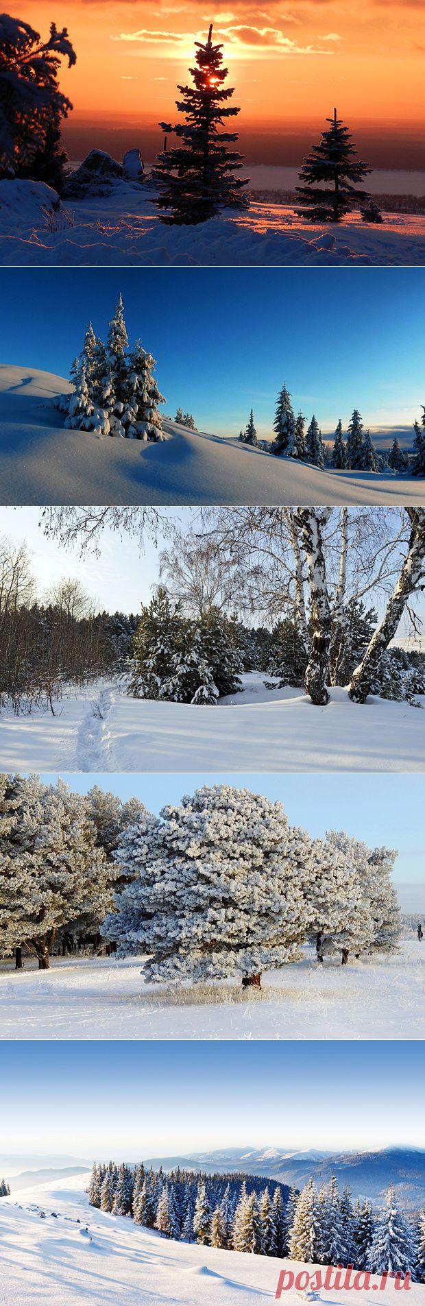 Снежные пейзажи зимы A. - Вид из окна