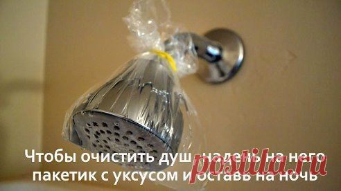Я женщина, мама, хозяйка, жена