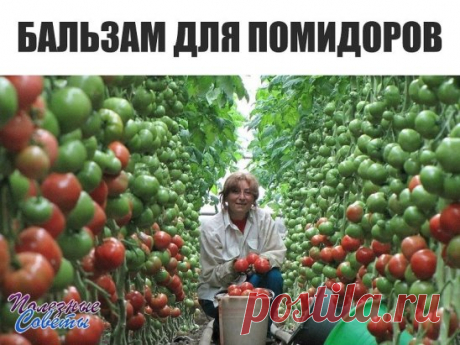 (61) Одноклассники