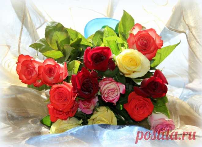 b-33.jpg (1024×745)