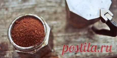 15 способов экологичного использования кофейной гущи / Все для женщины