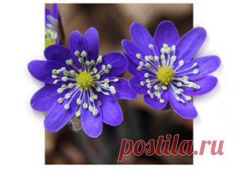 Эффект объёмного изображения на фото 2.0 В этом уроке вы научитесь создавать в Photoshop эффект объемной картинки, который оживит вашу фотографию.