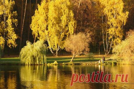 Старинный усадебный парк Покровское - Стрешнево...