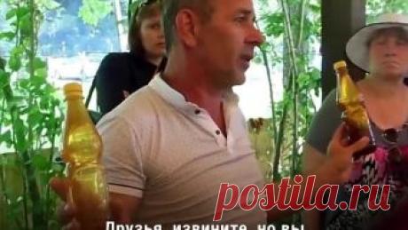 Я в шоке! Я реально не знал как отличить поддельный мед от настоящего!