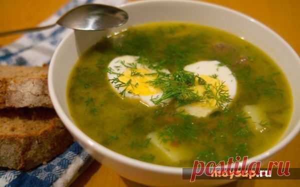 Как приготовить суп со щавелем и курицей - рецепты летнего меню