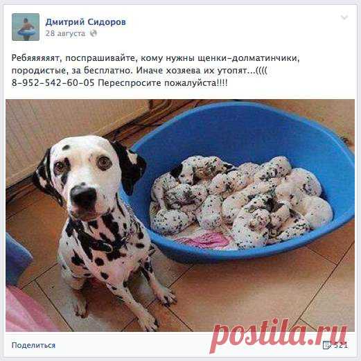 10 способов отличить обман в Интернете от просьбы о помощи! (это НАДО знать!) | ЖЕНСКИЙ МИР