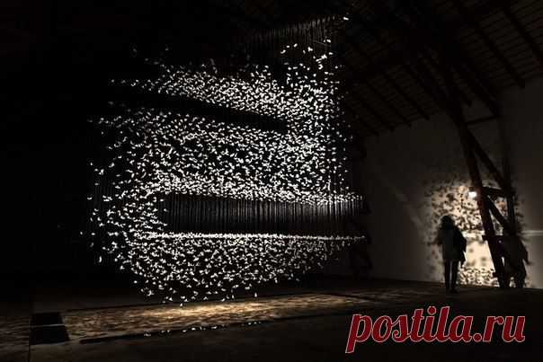 Удивительные инсталляции из перьев от Исы Барбье (Isa Barbier) / Удивительное искусство
