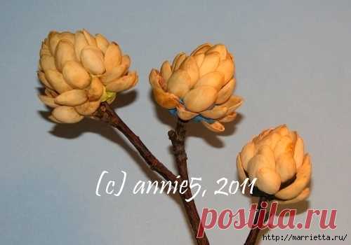 Цветы из шишек, семечек, листьев кукурузы, фисташек и макарон