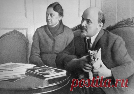 Надежа Крупская: главные тайны биографии жены Ленина За Надеждой Крупской прочно закрепился образ верной подруги и соратницы вождя мирового пролетариата Владимира Ленина. Между тем она сама по себе была весьма интересной личностью, а некоторые факты из ее биографии по-прежнему мало известны широкой публике.
