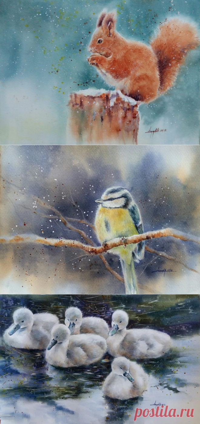 Нежность акварели