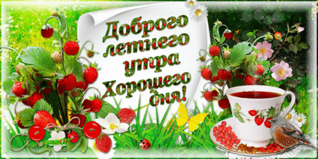 Доброго летнего утра. Хорошего дня * МУЗыкальный подарОК