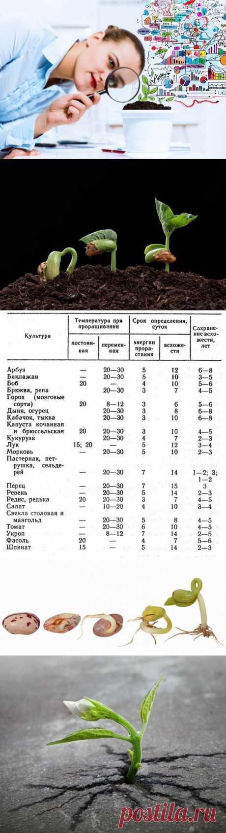 Как проверить семена на всхожесть. 
Всхожесть семян необходимо проверить заранее! Как это сделать, что влияет на всхожесть, что вообще означает это понятие, и в чем заключается смысл проводимых процедур, давайте и поговорим сегодня.