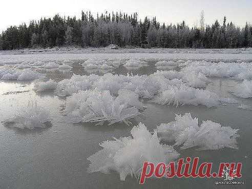 Красиво, правда?

Жми Класс и Поделиться, что бы и ваши друзья увидели это!