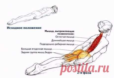 Лучшее упражнение для осанки