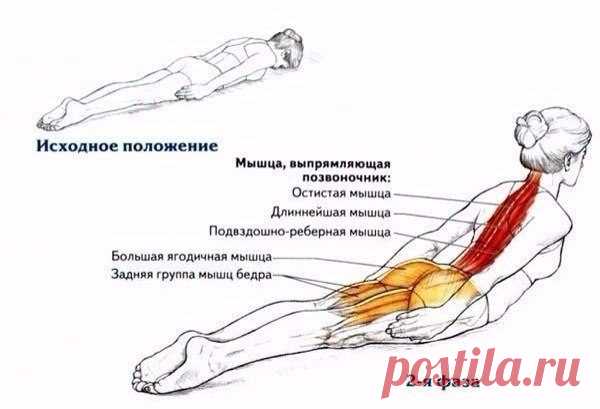 Лучшее упражнение для осанки