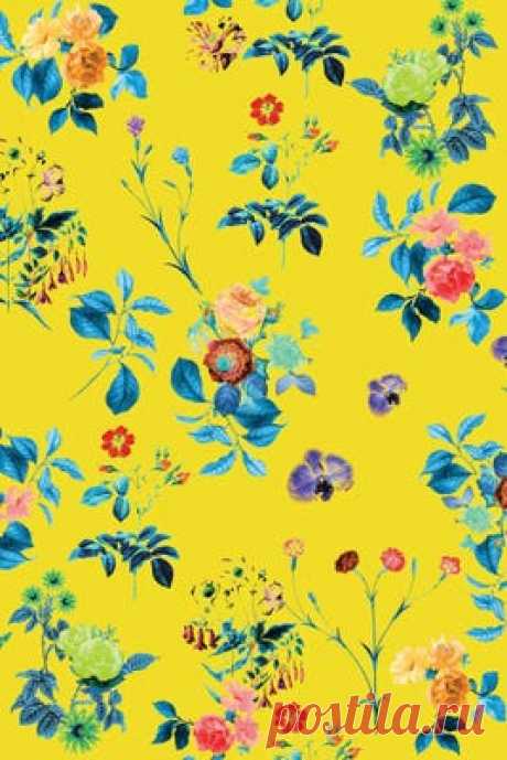Shop "Floral Shower II" Canvas Wall Art by 83 Oranges in a variety of sizes, with framed options available. On Sale Today! Free Shipping & Returns.