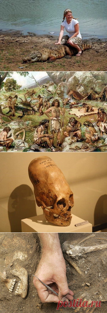 Древний дракон Василиск: что это за мифическое существо?