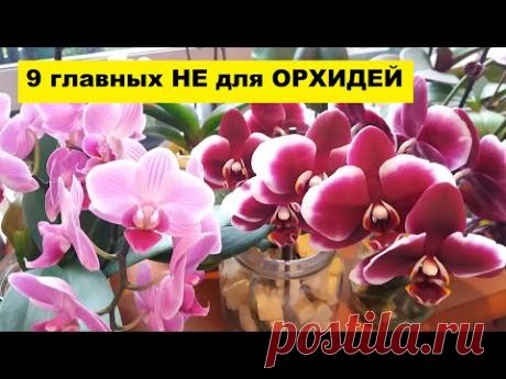 ЧТО НЕЛЬЗЯ ДЕЛАТЬ