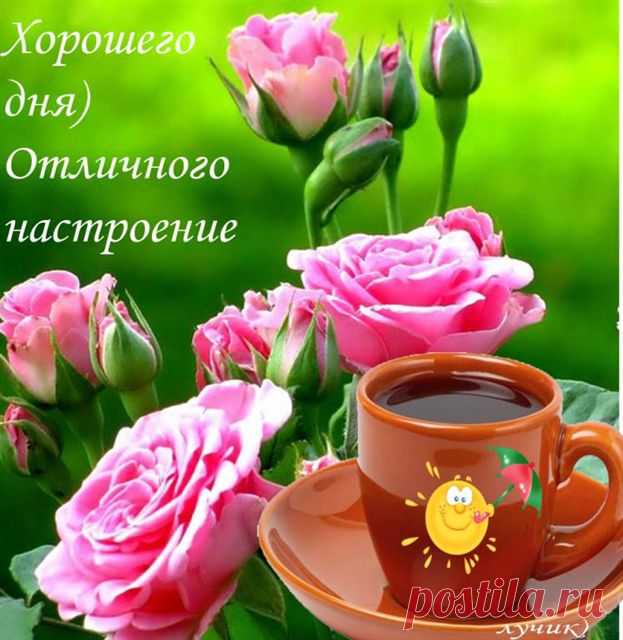 Валентина Страшкова - Сообщения / в Кругу Друзей - социальная сеть