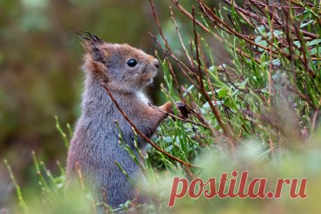 Dorothea OLDANI (@dorographie) | Unsplash Photo Community