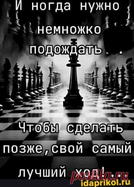 Выпуск №6263 - выпуск анекдотов сайта вокруг смеха