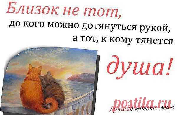 Интересные новости