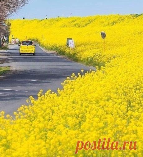 Фото@Mail.Ru: : Фото группы