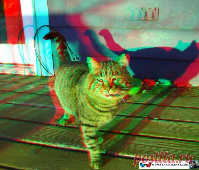 Картинки для 3D очков (32 фото) ⭐ Забавник