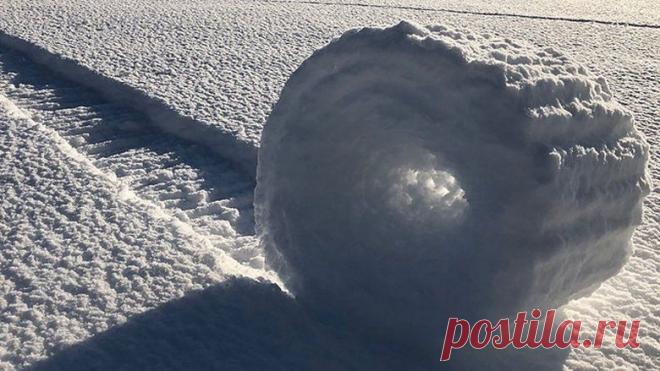 На полях Англии теперь появились загадочные снежные рулоны