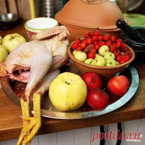 Петух в вине - пошаговый кулинарный рецепт с фото на Повар.ру