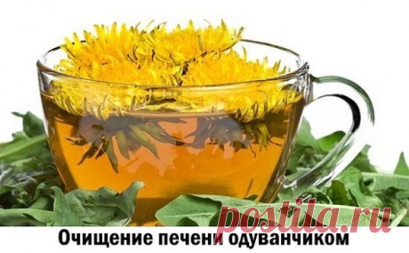 (7) Одноклассники