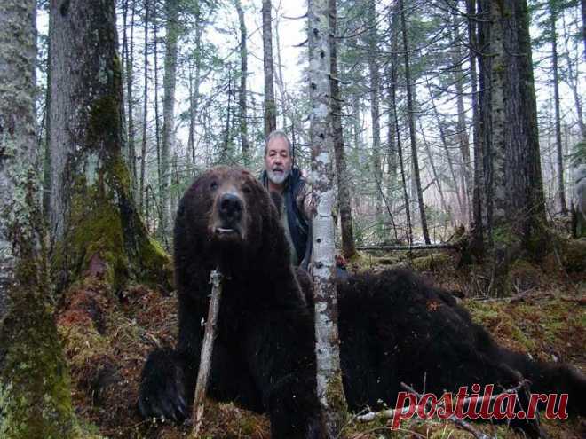 Report on the hunt for Amur brown Bear 2014 (Part Two)  | Sergey Outfitter