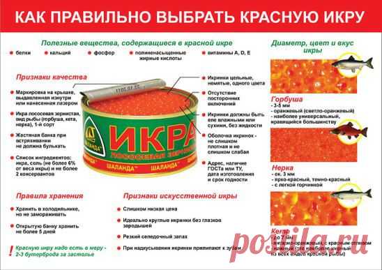 Как выбрать хорошую и качественную икру? 
Ещё больше рецептов смотрите на http://kulinar24.de/