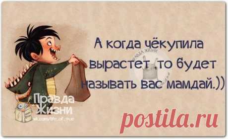 Веселые фразочки-статусы в картинках