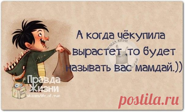 Веселые фразочки-статусы в картинках