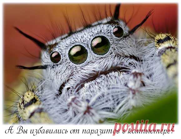 Как найти и удалить предустановленные, бесполезные программы паразиты.