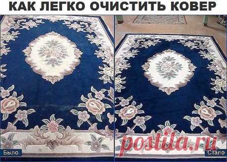 Чтобы сократить траты на средства для мытья ковров, которые нам предлагают купить в магазинах, давайте сделаем средство для мытья ковров сами. Это средство будет в разы дешевле, без бесконечного списка химии с составе и самое главное - оно будет чистить.


Итак, нам понадобится пустая тара среднего размера с распылителем, в которую мы добавим: 

- 1 столовую ложку соды; 
- 1/3 стакана уксуса; 
- горячую воду, не кипяток (не доходя около 5 см до края тары); 
- 1 столовую ло...