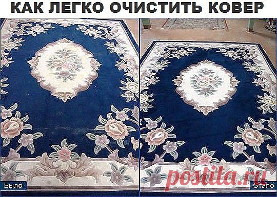 Чтобы сократить траты на средства для мытья ковров, которые нам предлагают купить в магазинах, давайте сделаем средство для мытья ковров сами. Это средство будет в разы дешевле, без бесконечного списка химии с составе и самое главное - оно будет чистить.


Итак, нам понадобится пустая тара среднего размера с распылителем, в которую мы добавим: 

- 1 столовую ложку соды; 
- 1/3 стакана уксуса; 
- горячую воду, не кипяток (не доходя около 5 см до края тары); 
- 1 столовую ло...
