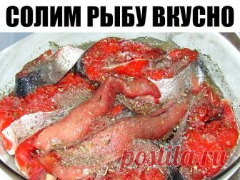 Солим рыбу вкусно! (разную рыбу)

Рыбу, приготовленную таким способом, можно кушать уже через 2 часа. Но еще вкусней она получится, если постоит немного в холодильнике и пропитается маслом. Вы берите рыбку на свой вкус.

Потребуется:
-2 рыбки
-лук по вкусу (его можно побольше, очень вкусный)
-вода комнатной температуры 400 мл
-соль 2 столовых ложки без горки
-масло подсолнечное (можно с запахом, кому нравится) 200 мл
-лавровый лист 3 штуки
-гвоздика 3 штуки
-перец горошком...