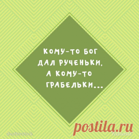 Яркие анекдоты, шуточки и всякие забавности