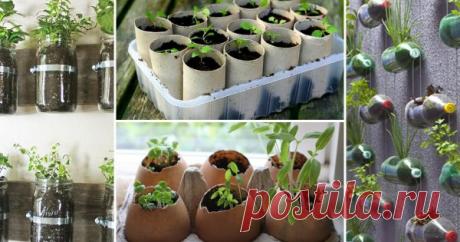 12 способов, как сделать горшочки для рассады своими руками Посев семян на рассаду – дело, требующее подготовки, но вовсе не обязательно идти в магазин или на рынок и тратить деньги на специальные контейнеры. Достаточно воспользоваться нашими советами и смастерить стаканчики для рассады самостоятельно.