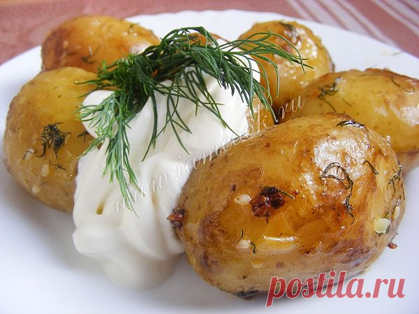 Молодая картошка, запеченная в духовке с чесноком и укропом, рецепт с фото.