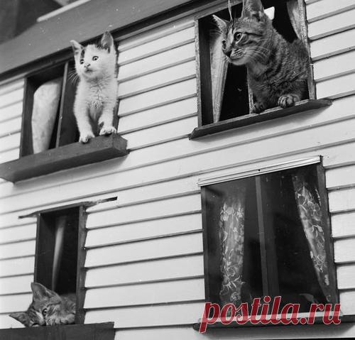 (2) History Time (@tw_thistory) | Твиттер