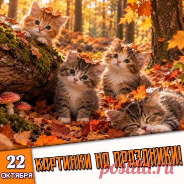 🎉 Праздники которые отмечают в России и мире 22 Октября 2026 года (22.10.26 четверг)

✅ День Корсунской (Эфесской) иконы Божией Матери
✅ День (праздник) белых журавлей
✅ Всемирный день орехов
✅ День эклера
✅ День бутерброда