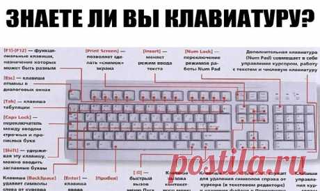 ЗНАЕТЕ ЛИ ВЫ КЛАВИАТУРУ НА СВОЁМ КОМПЬЮТЕРЕ? — Копилочка полезных советов