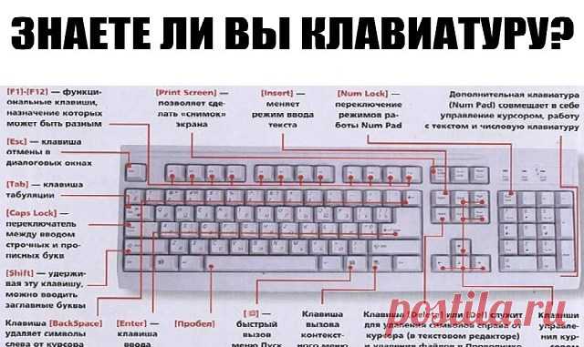 ЗНАЕТЕ ЛИ ВЫ КЛАВИАТУРУ НА СВОЁМ КОМПЬЮТЕРЕ? — Копилочка полезных советов
