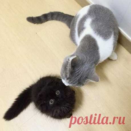 Когда тебя внезапно поцеловали