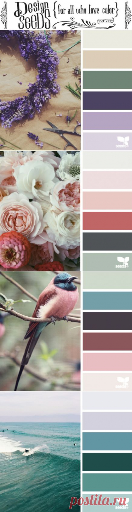 design seeds | for all who &amp;#9829; color