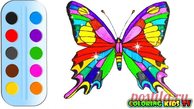 Картинки бабочек для детей (32 фото) ⭐ Забавник