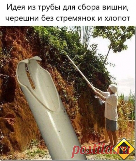 Приспособление для сбора вишни. Как вам идея, пробовал кто уже делать такую?